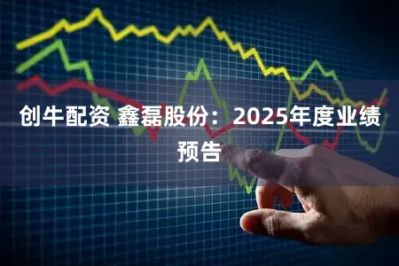 创牛配资 鑫磊股份：2025年度业绩预告