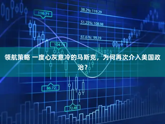 领航策略 一度心灰意冷的马斯克，为何再次介入美国政治？