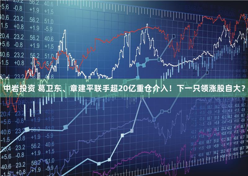 中岩投资 葛卫东、章建平联手超20亿重仓介入！下一只领涨股自大？