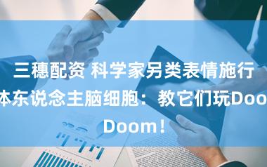 三穗配资 科学家另类表情施行活体东说念主脑细胞：教它们玩Doom！