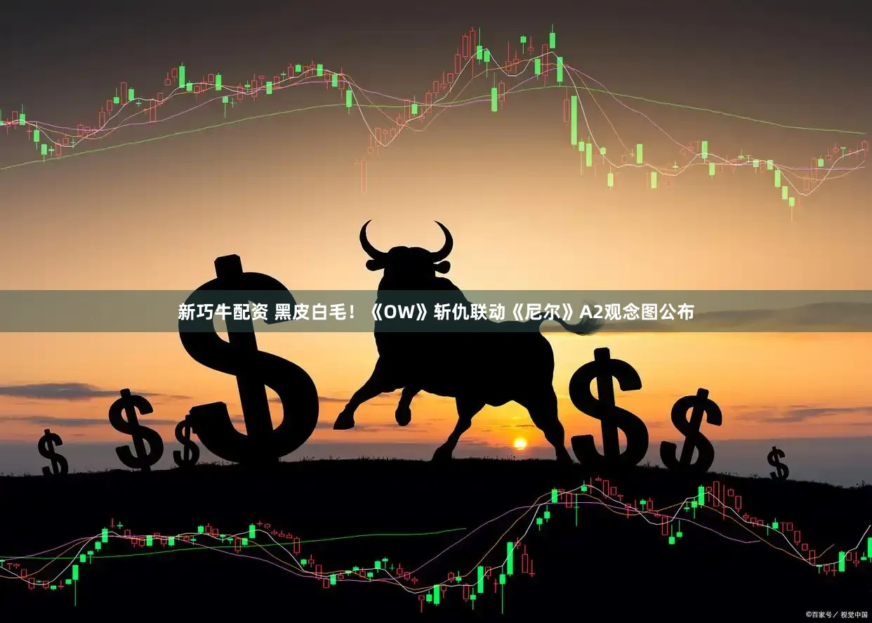 新巧牛配资 黑皮白毛！《OW》斩仇联动《尼尔》A2观念图公布