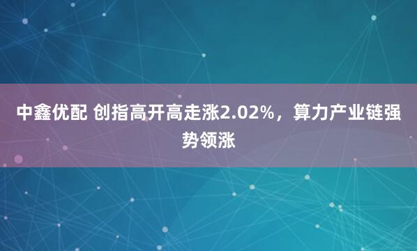 中鑫优配 创指高开高走涨2.02%，算力产业链强势领涨