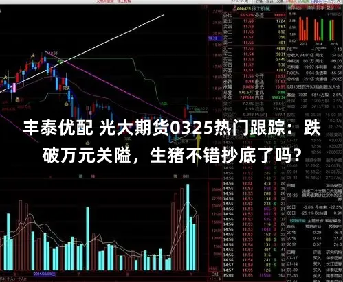 丰泰优配 光大期货0325热门跟踪：跌破万元关隘，生猪不错抄底了吗？