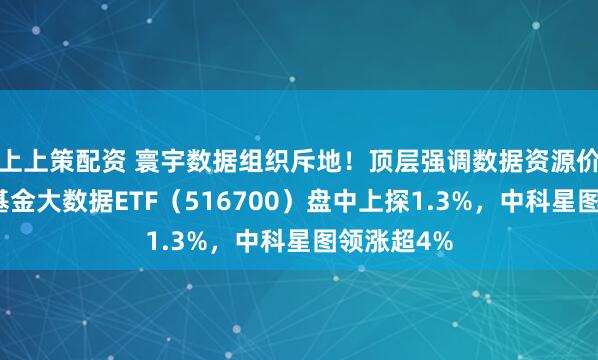 上上策配资 寰宇数据组织斥地!顶层强调数据资源价值!华宝基金大数据ETF(516700)盘中上探1.3%,中科星图领涨超4%