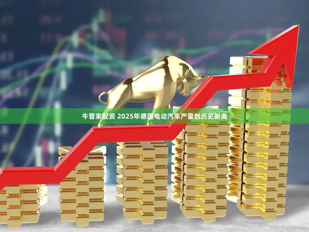 牛管家配资 2025年德国电动汽车产量创历史新高