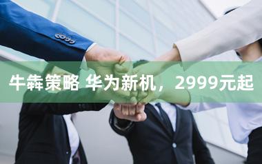 牛犇策略 华为新机，2999元起